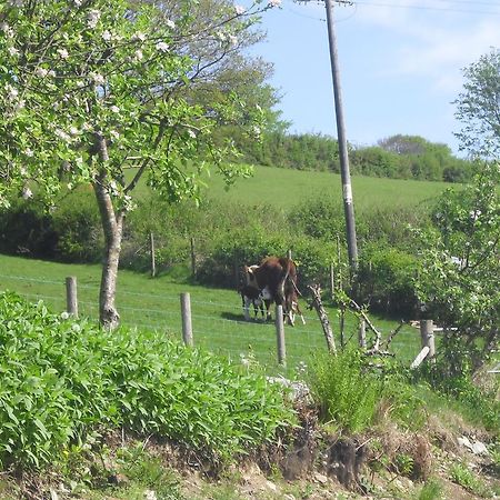 Staylittle Farm Dolgellau Exterior photo